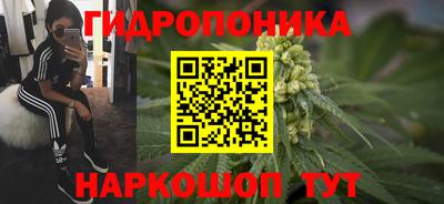дмт Свободный