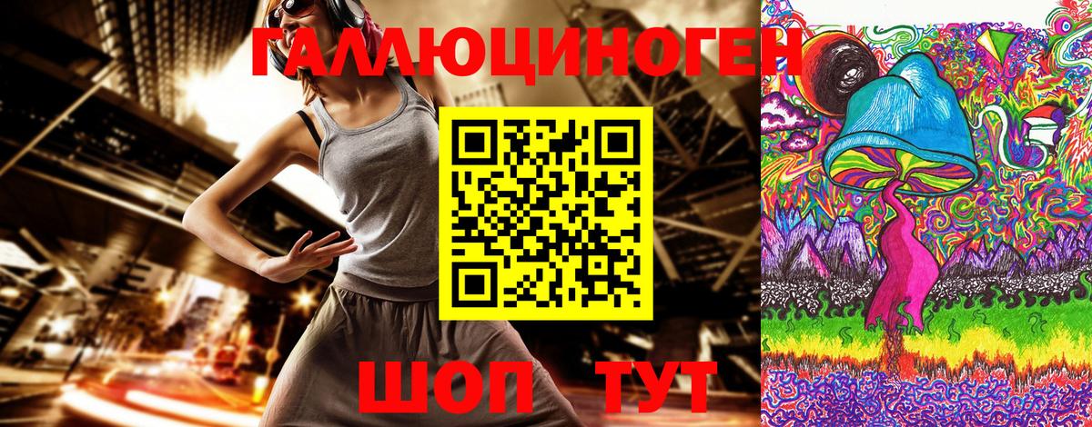 Галлюциногенные грибы Psilocybe Новый Уренгой